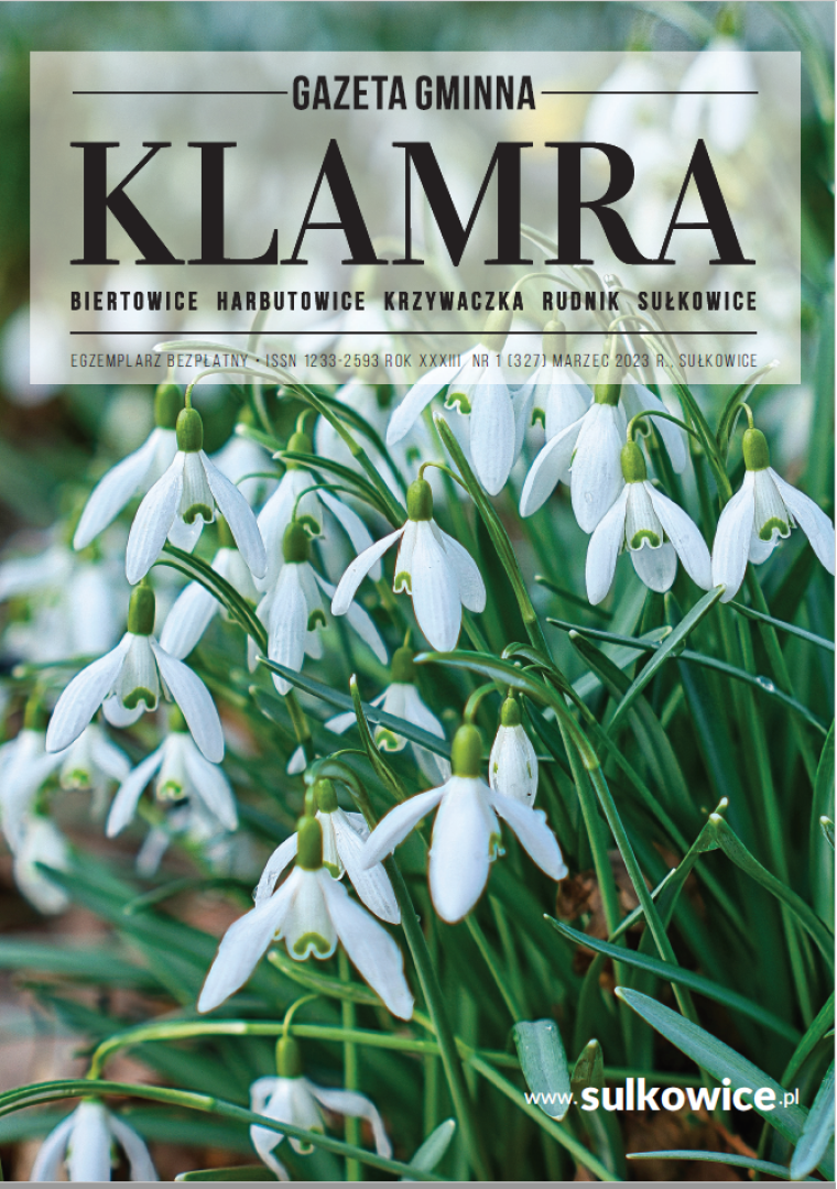 Zrzut ekranu 2024-06-13 083716.png