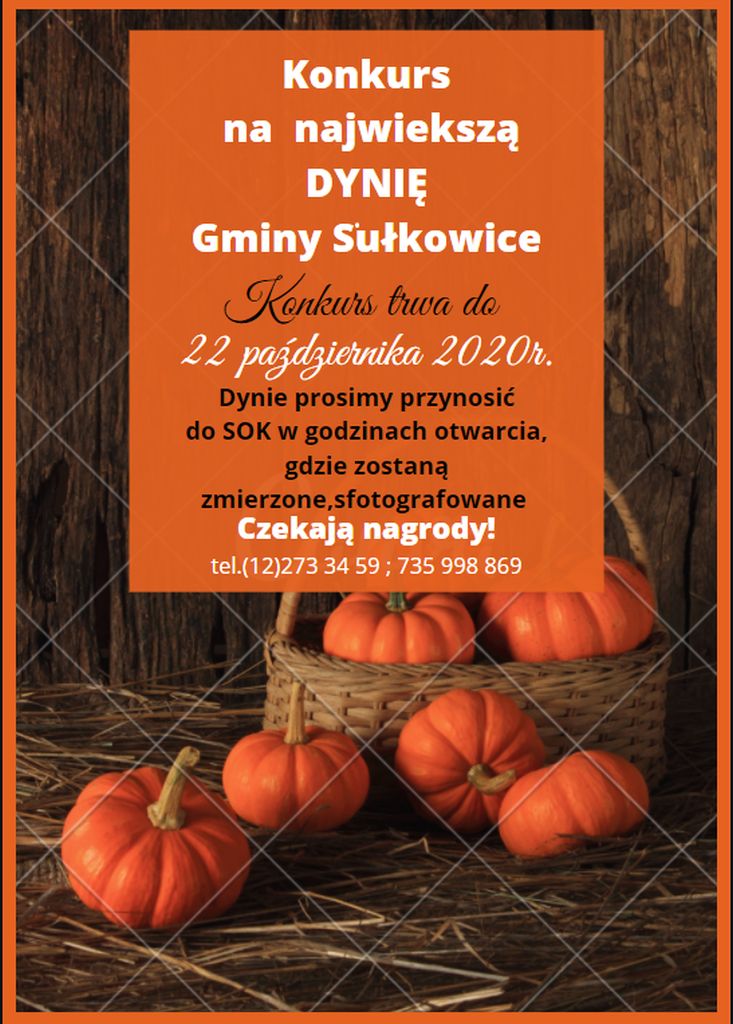 największa dynia gminy sułkowice plakat konkursowy