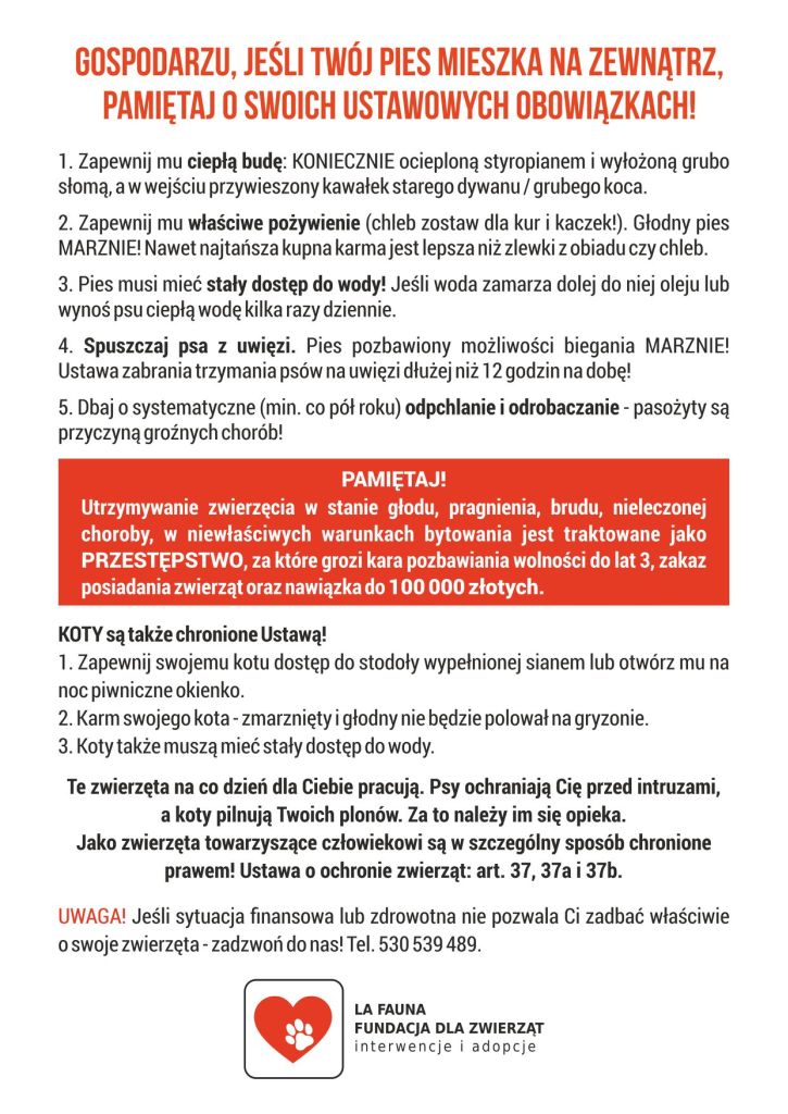 apel o ochronę i dobre warunki dla psów i kotów zimą