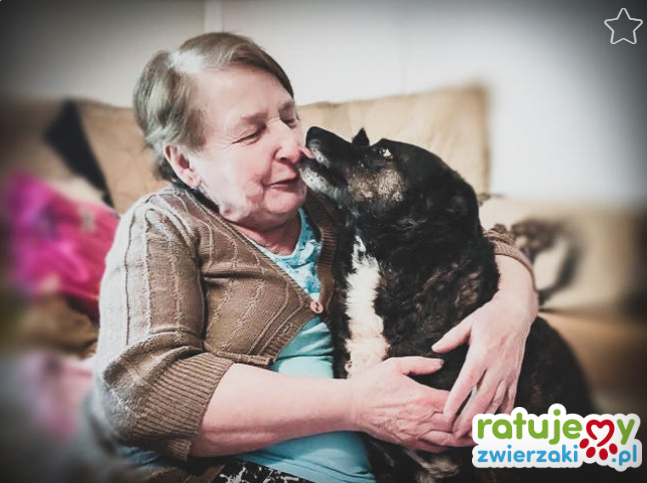 właścicielka przytuliska z jednym z pupilów