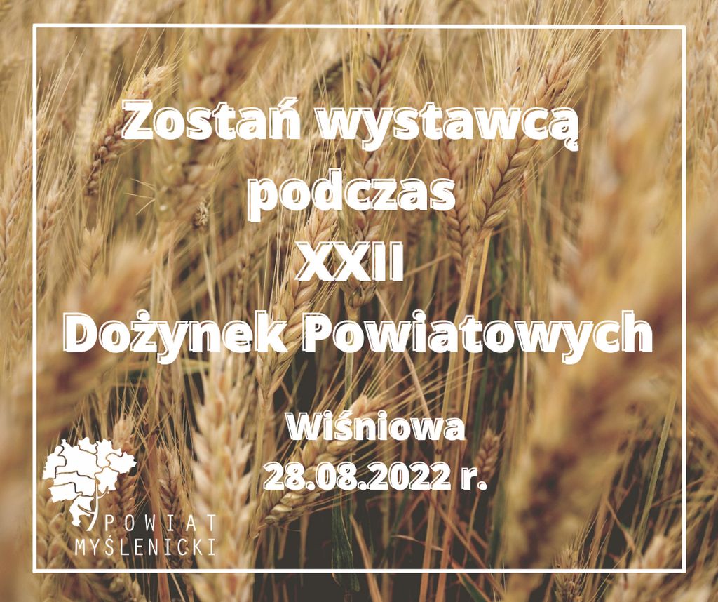 zostań wystawcą podczas dożynek - zdjęcie kłosów pszenicy