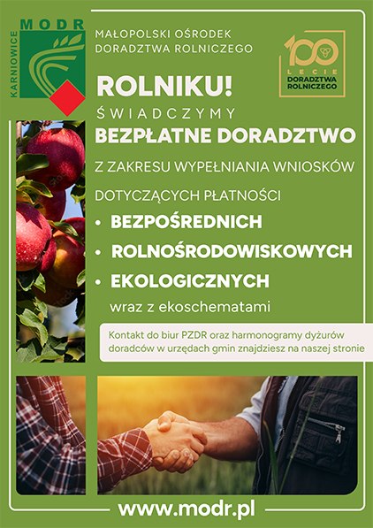 bezpłatne doradztwo plakat