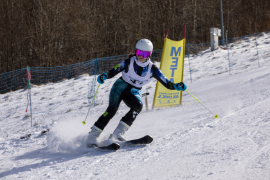 slalom_gigant_miniaturka