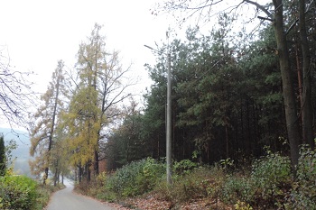 OZBUDOWA OŚWIETLENIA ULICZNEGO W RUDNIKU